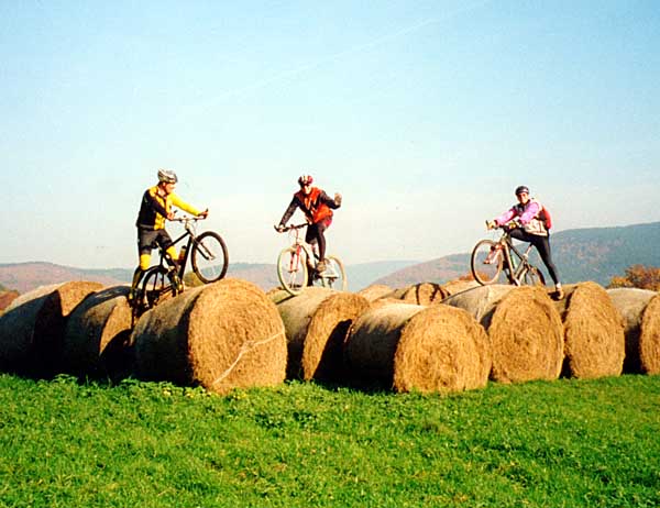 Rennsteig-Dolmar-Weg, 22. Oktober 2000 - Bild 5