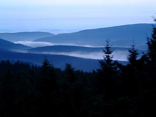 Bilder der Bikesaison 2002 - Bild 8