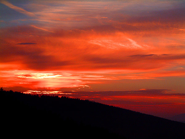 Bilder der Bikesaison 2005 - Bild 1