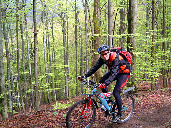 Bilder der Bikesaison 2005 - Bild 2