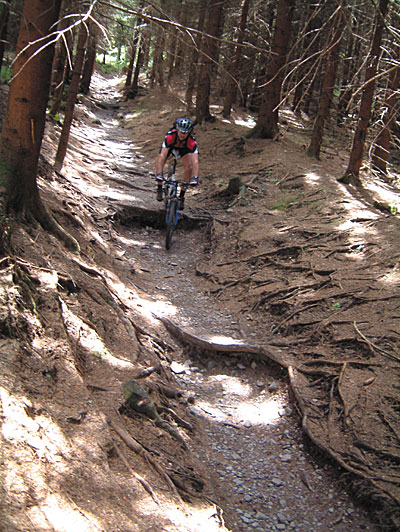 Bilder der Bikesaison 2005 - Bild 5