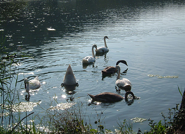 Bilder der Bikesaison 2005 - Bild 6
