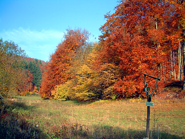 Bilder der Bikesaison 2005 - Bild 8