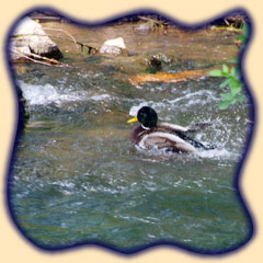 Impressionen von der Gera