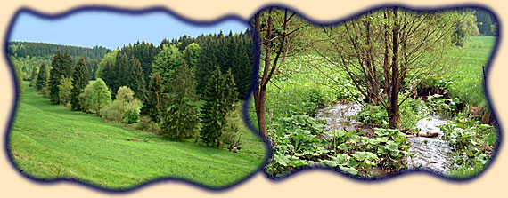 Roßbachtal; Hirtenbrunnen