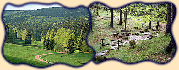 Oberes Vessertal; Vesserquelle