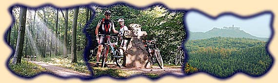 Waldstück bei Blankenstein, Steinkreuz "Wilde Sau", Blick zur Wartburg