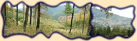 Waldstück nahe der Hohen Sonne, Blick auf Brotterode